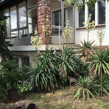 Alsooers Ch Apartment Exterior photo